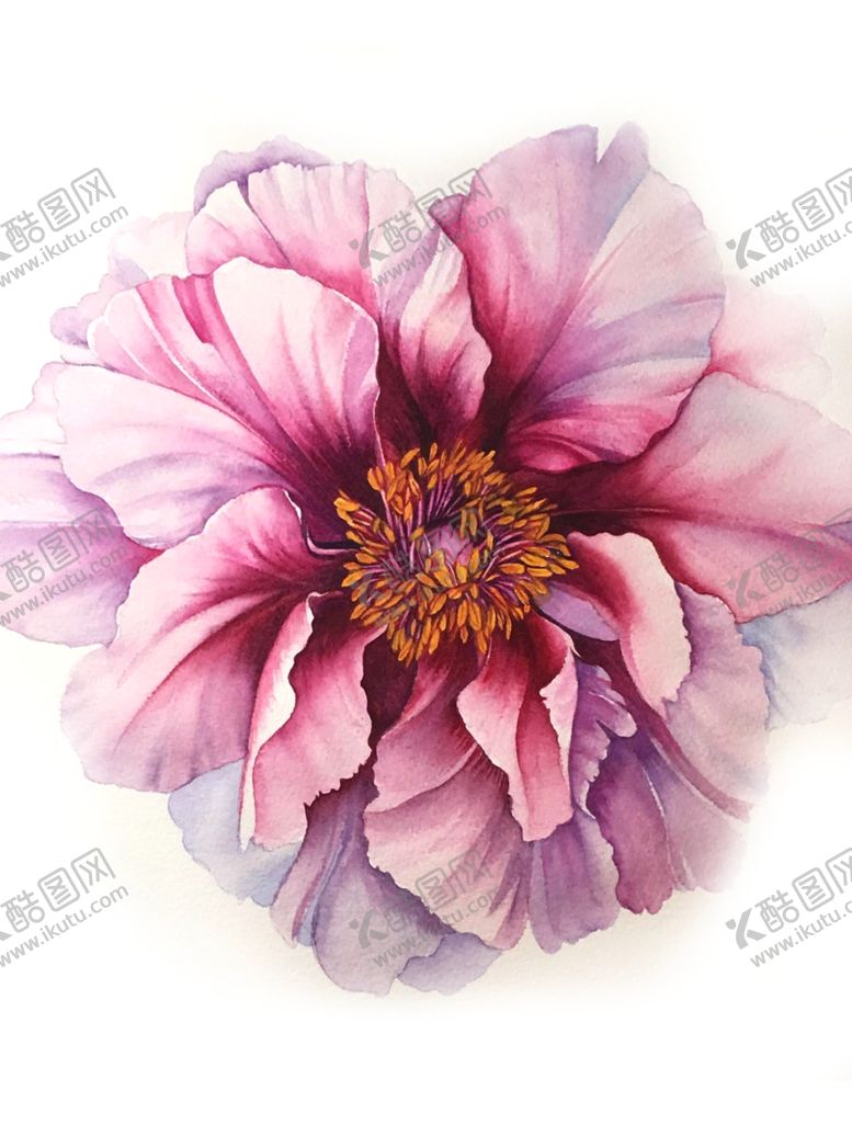 编号：70208209292300061791【酷图网】源文件下载-多肉植物花朵绘画素材