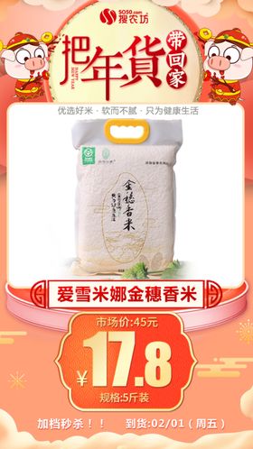 年货秒杀爱雪米娜金穗香米