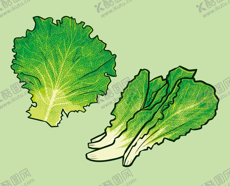 编号：40081710260407118948【酷图网】源文件下载-生菜卡通