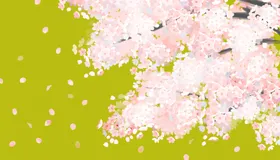 手绘樱花树赏树