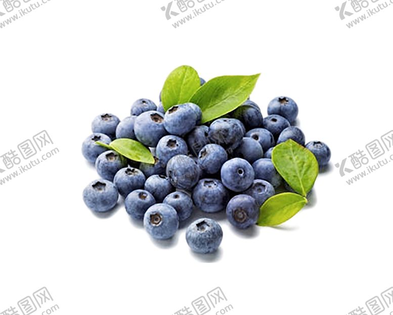 编号：98677710252158489359【酷图网】源文件下载-水果