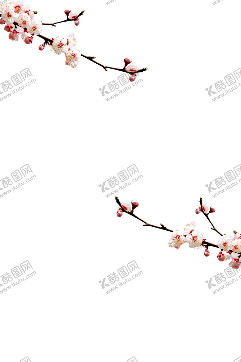 编号：22639906240042107239【酷图网】源文件下载-梅花素材