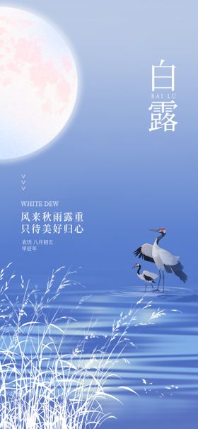 白露海报