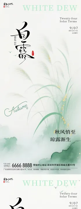 地产白露芦苇风景摄影海报