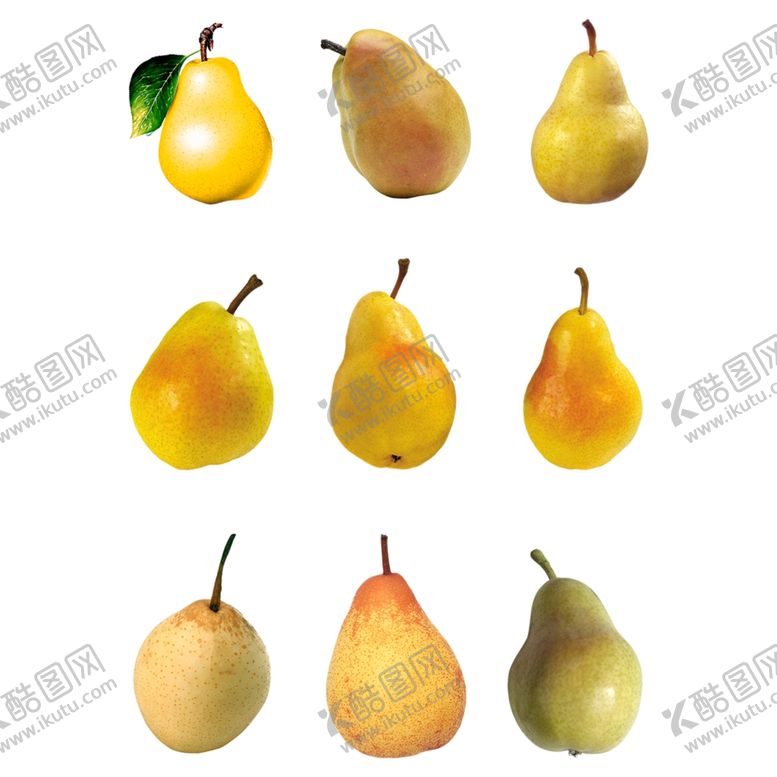 编号：53991307032342018310【酷图网】源文件下载-鸭梨