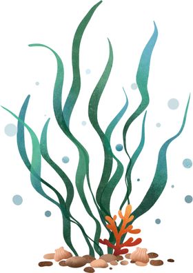 水草