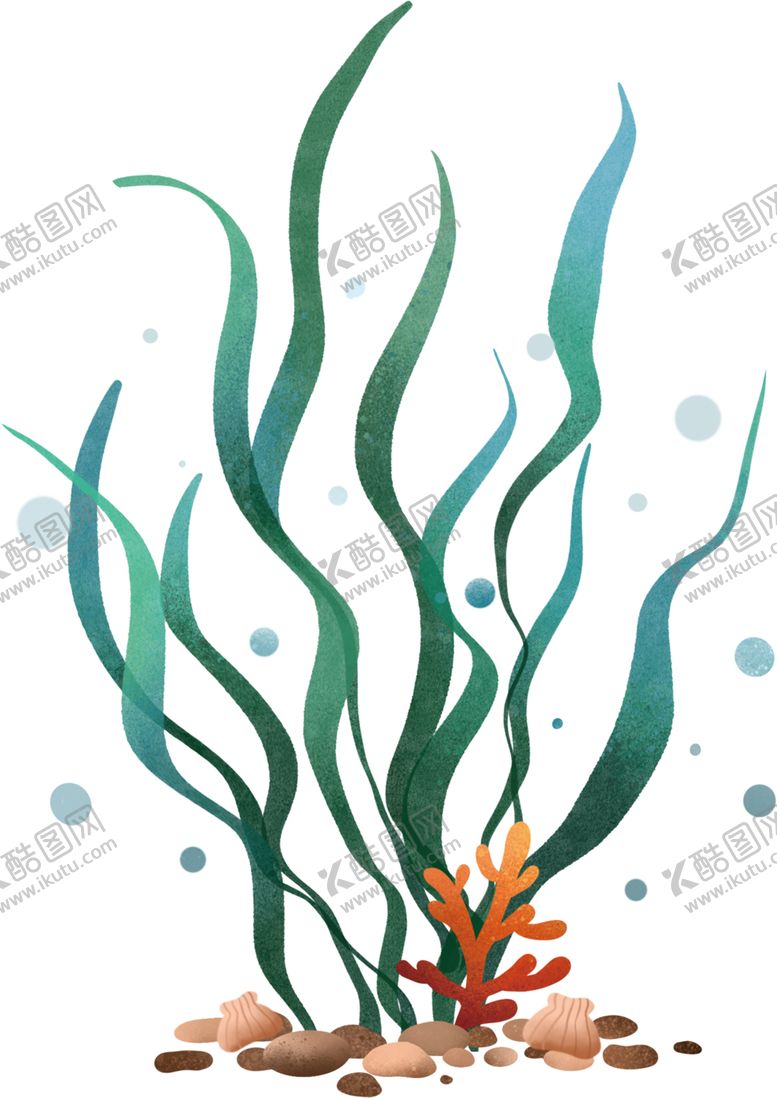 编号：32192006271222142897【酷图网】源文件下载-水草