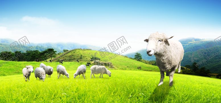 编号：71471110150627134488【酷图网】源文件下载-蓝天白云草地