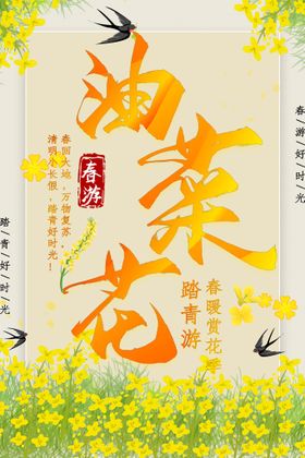 油菜花艺术字