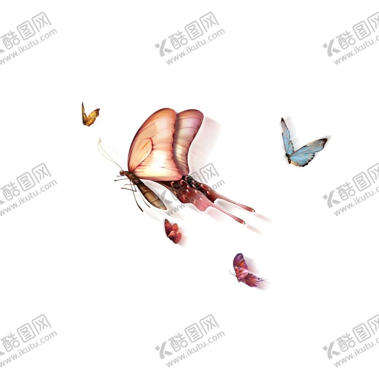 编号：55026610091517582247【酷图网】源文件下载-彩色蝴蝶成群飞舞蜕变