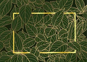 线描植物背景叶子手绘烫金设计素材花朵