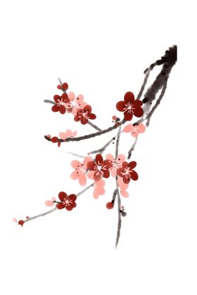 梅花素材
