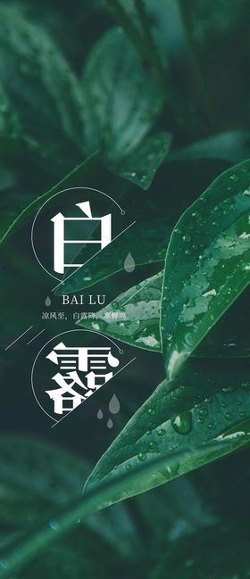 白露