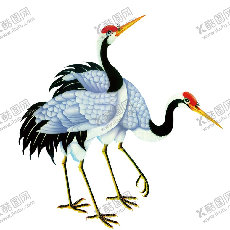 编号：21904504072132516956【酷图网】源文件下载-仙鹤元素