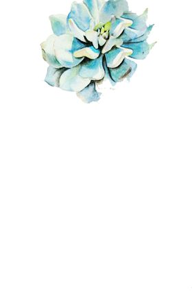 png格式植物花卉手绘素材插画卡通型多肉