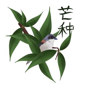 芒种二十四节气朋友圈海报农民