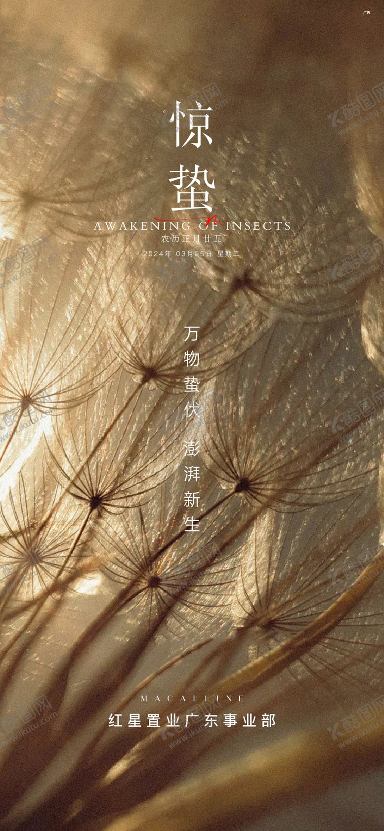 编号：97671703020206058841【酷图网】源文件下载-地产惊蛰节气海报