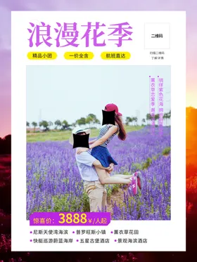 薰衣草海报