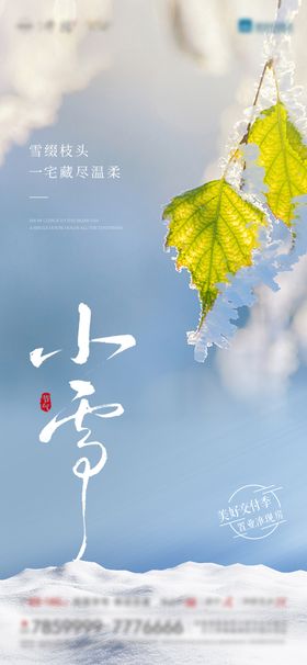 小雪