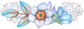 水彩植物