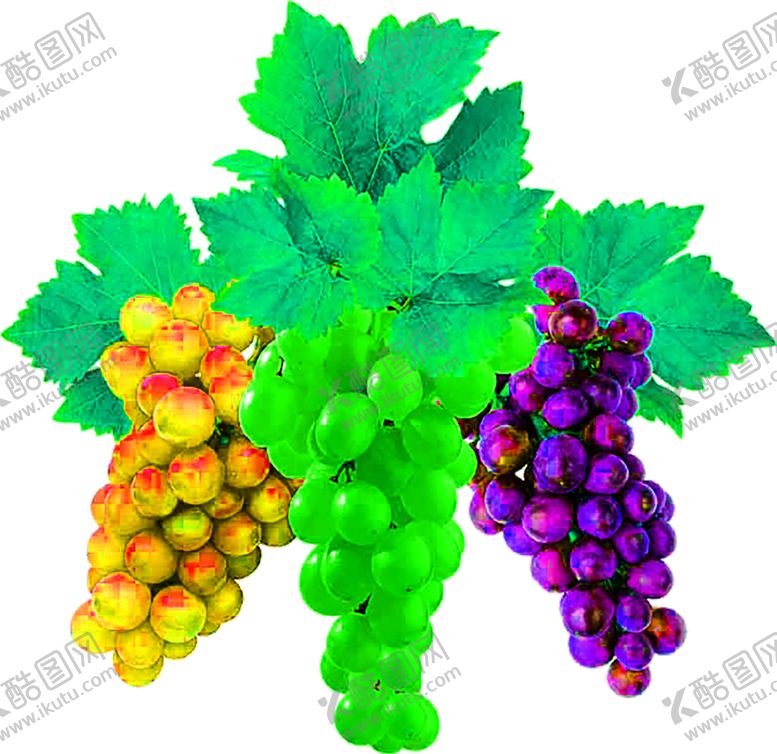 编号：10478410310304085863【酷图网】源文件下载-花素材