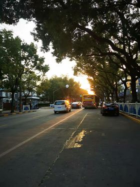 道路边分带景观平面图