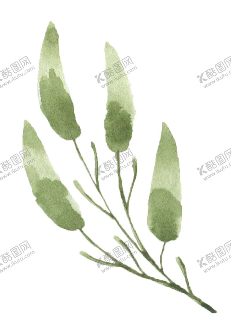 编号：22225309091714421045【酷图网】源文件下载-手绘植物花卉森系花枝花卉花