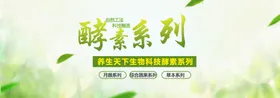 养生果醋蔬果饮料减肥茶