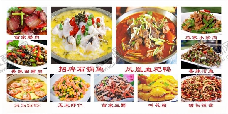 编号：42376601302226207116【酷图网】源文件下载-菜品