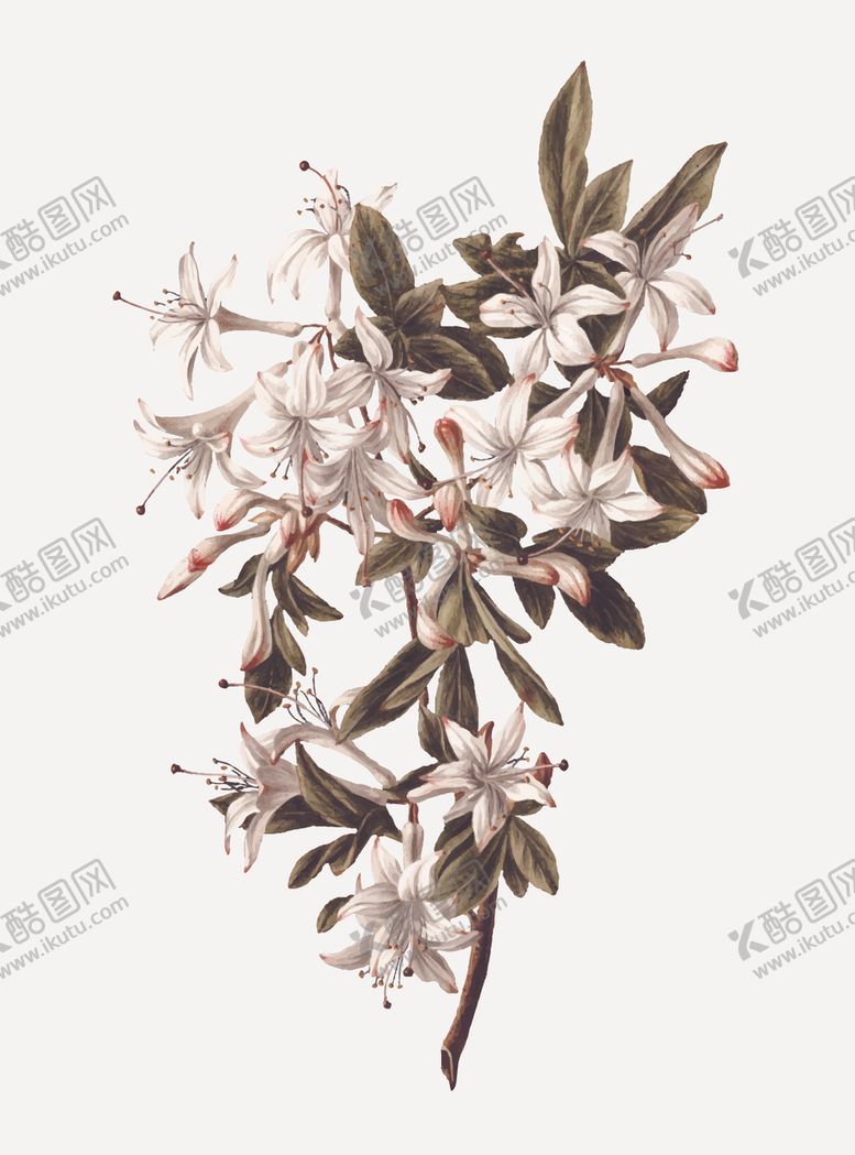 编号：21489610221446471435【酷图网】源文件下载-花纹