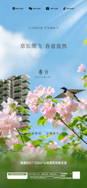 春分节气二十四天鸟花朵