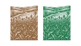 矢量山水玉米地