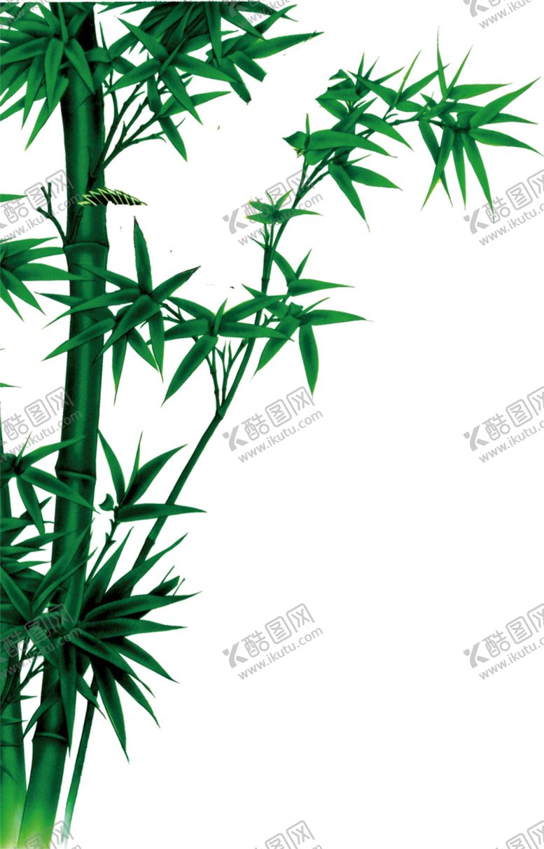 编号：98564107141610484665【酷图网】源文件下载-竹子竹叶
