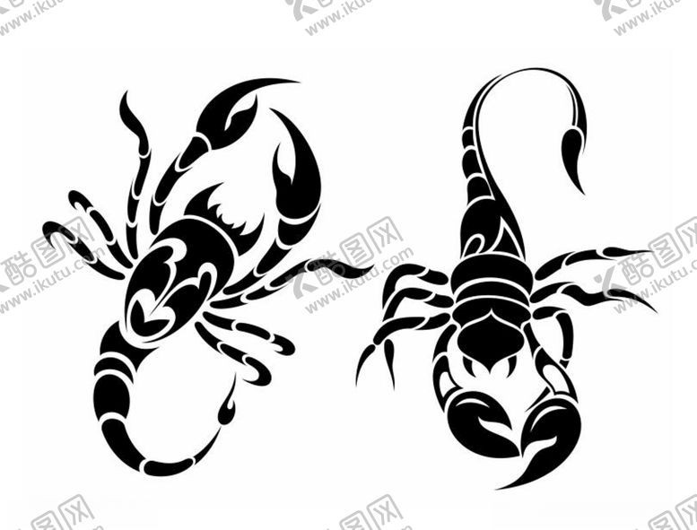 编号：10479309291400583195【酷图网】源文件下载-矢量蝎子