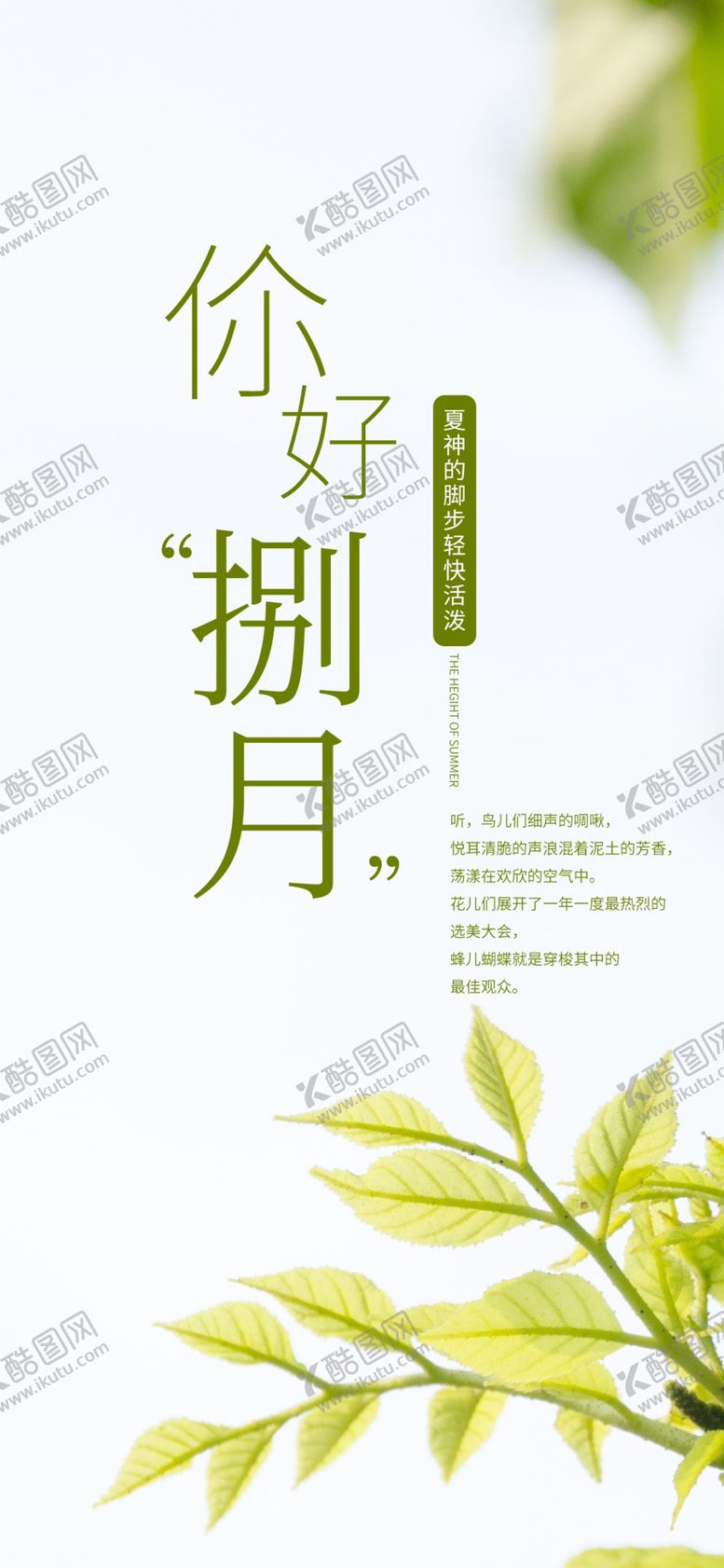 编号：53834309252224358012【酷图网】源文件下载-八月