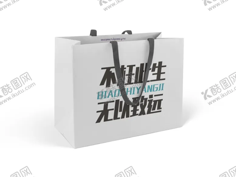 编号：64243912010619438907【酷图网】源文件下载-袋子样机