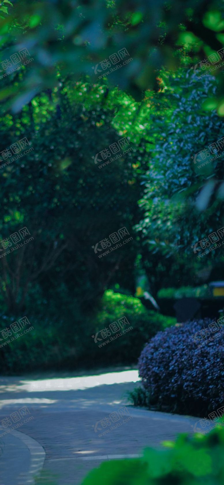 编号：67974006182151117784【酷图网】源文件下载-地产绿色质感园林实景