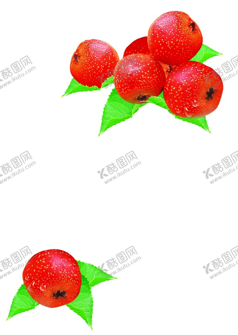 编号：76505109282230191713【酷图网】源文件下载-山楂