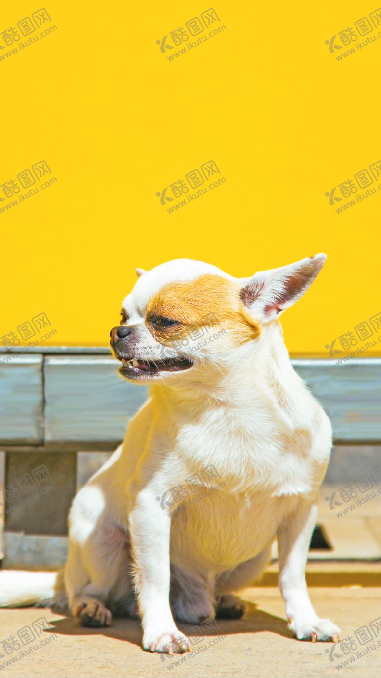 编号：34242606250411487597【酷图网】源文件下载-手机壁纸