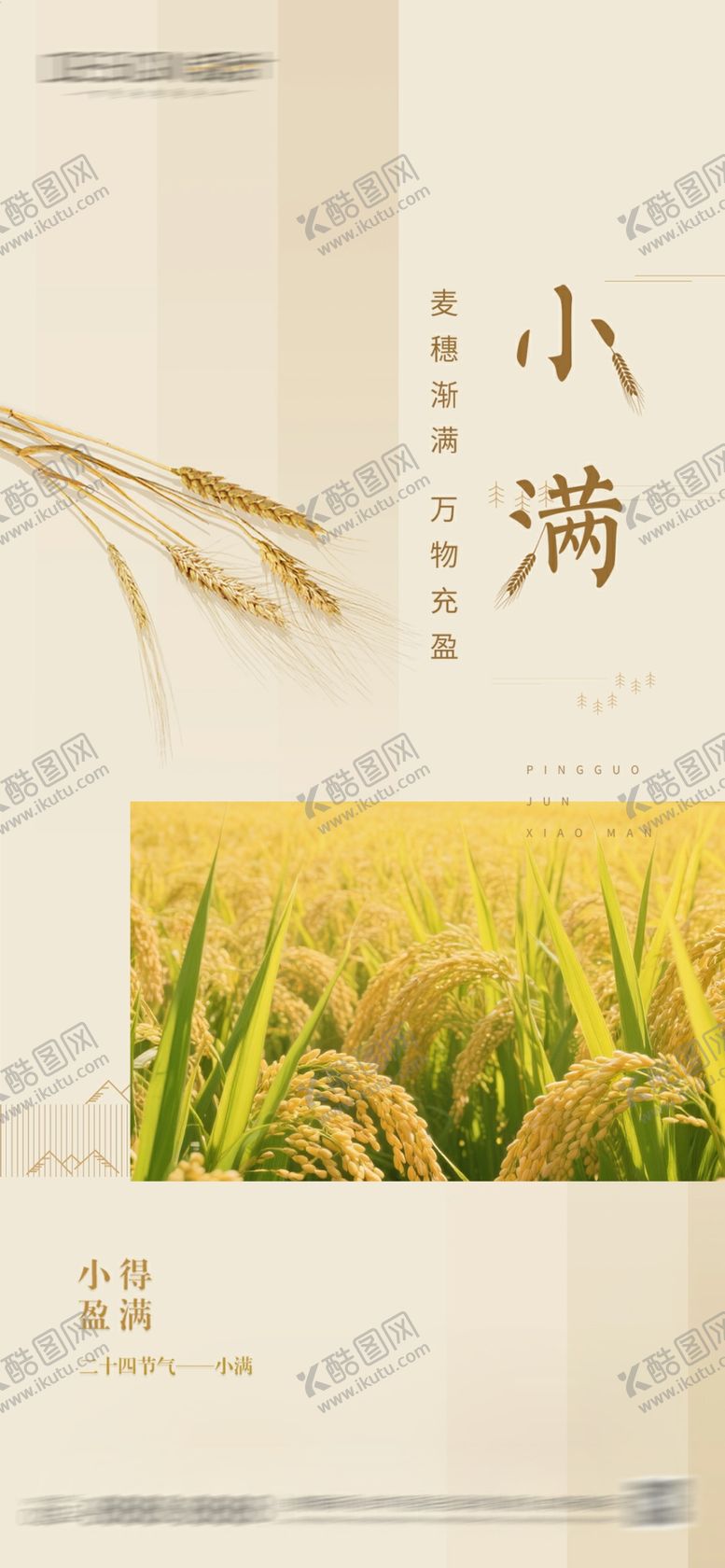 编号：85882405241218496232【酷图网】源文件下载-小满芒种节气海报