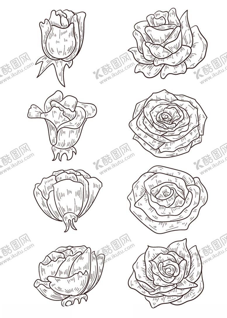 编号：72507010021140078219【酷图网】源文件下载-手绘素描玫瑰元素