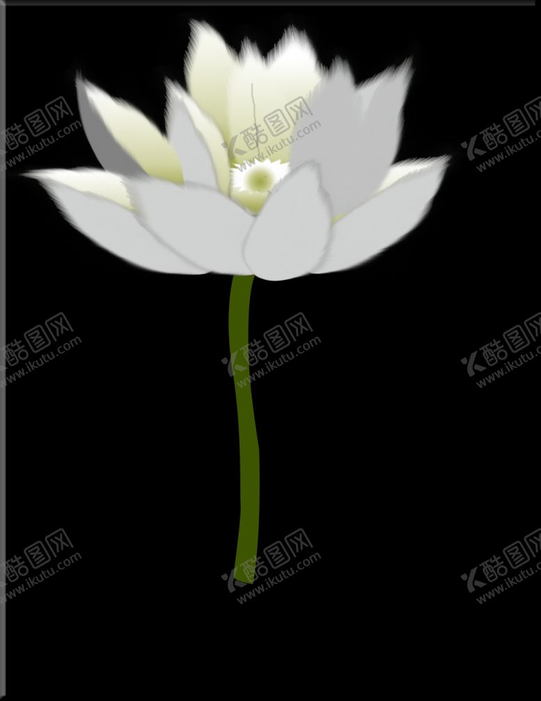 编号：15589710022145137873【酷图网】源文件下载-荷花