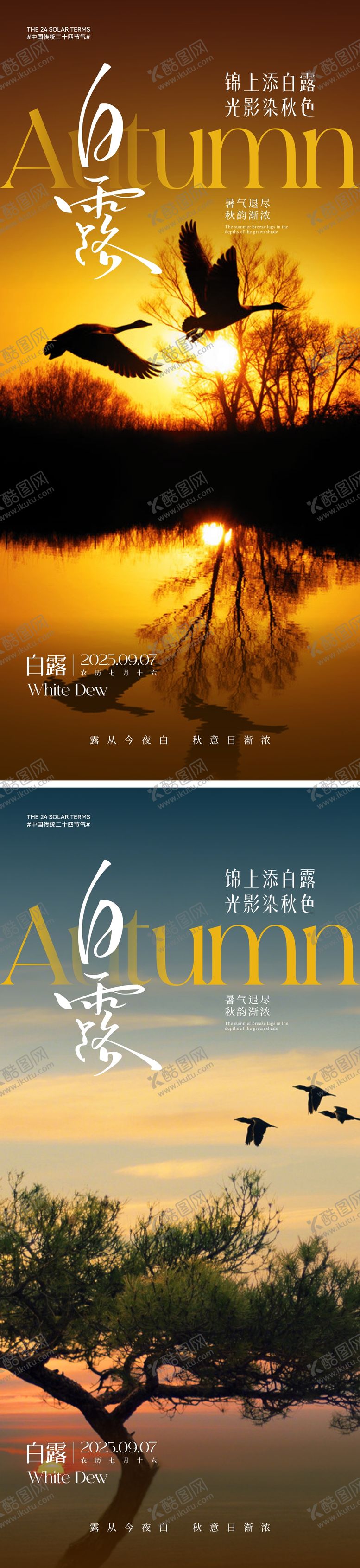 编号：28490110030513144365【酷图网】源文件下载-白露节气海报