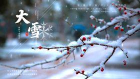 大气中国风大雪节气海报