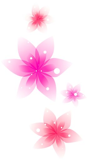 鲜花装饰
