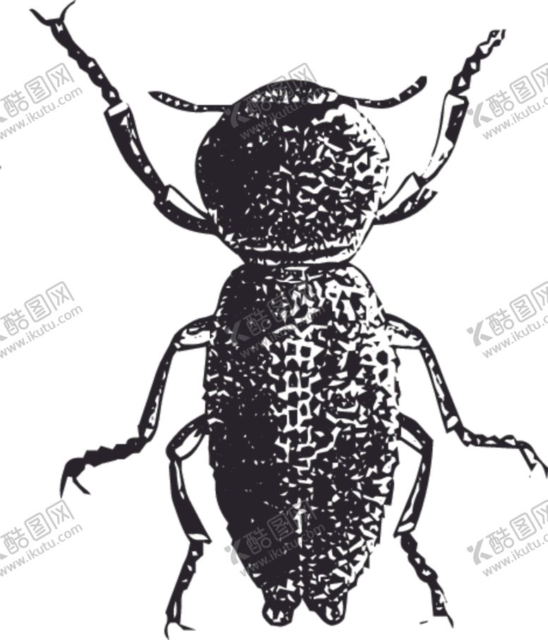 编号：28131409221936012630【酷图网】源文件下载-自然昆虫标本插画