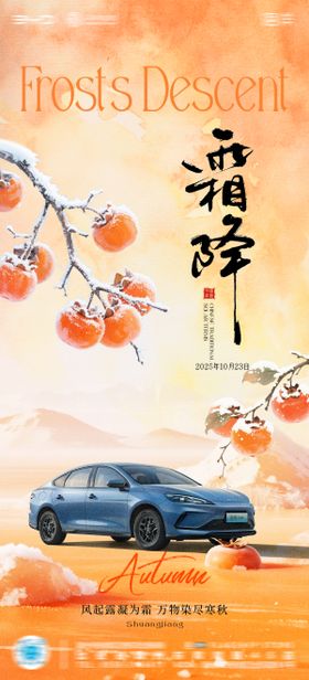 汽车4S店霜降海报