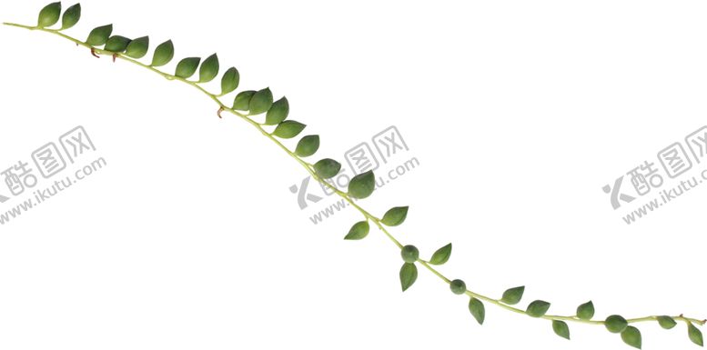 编号：57899509181541582094【酷图网】源文件下载-绿色植物