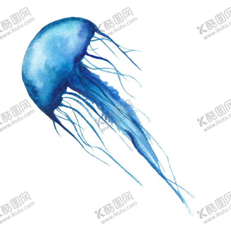 编号：22609509261449275005【酷图网】源文件下载-海洋生物水母图案