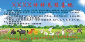 肉牛养殖基地肉牛养殖